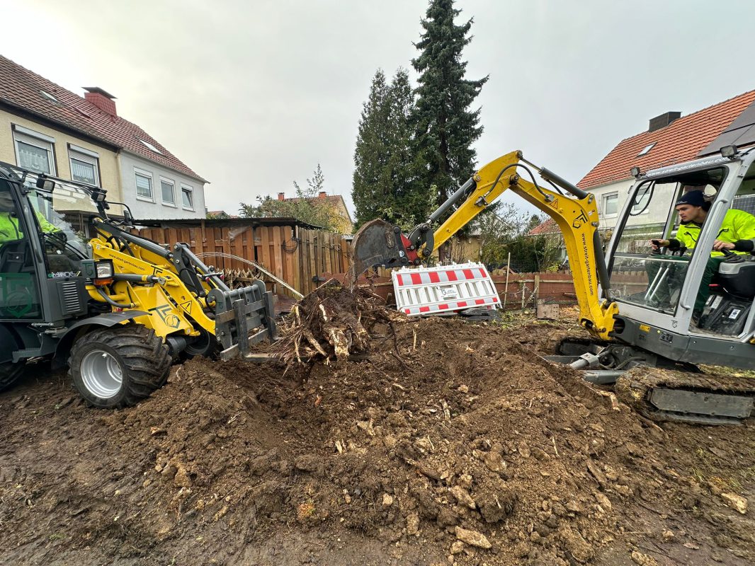 IMG-20241123-WA0024
